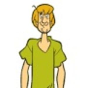 Meet your Posher, Brayden